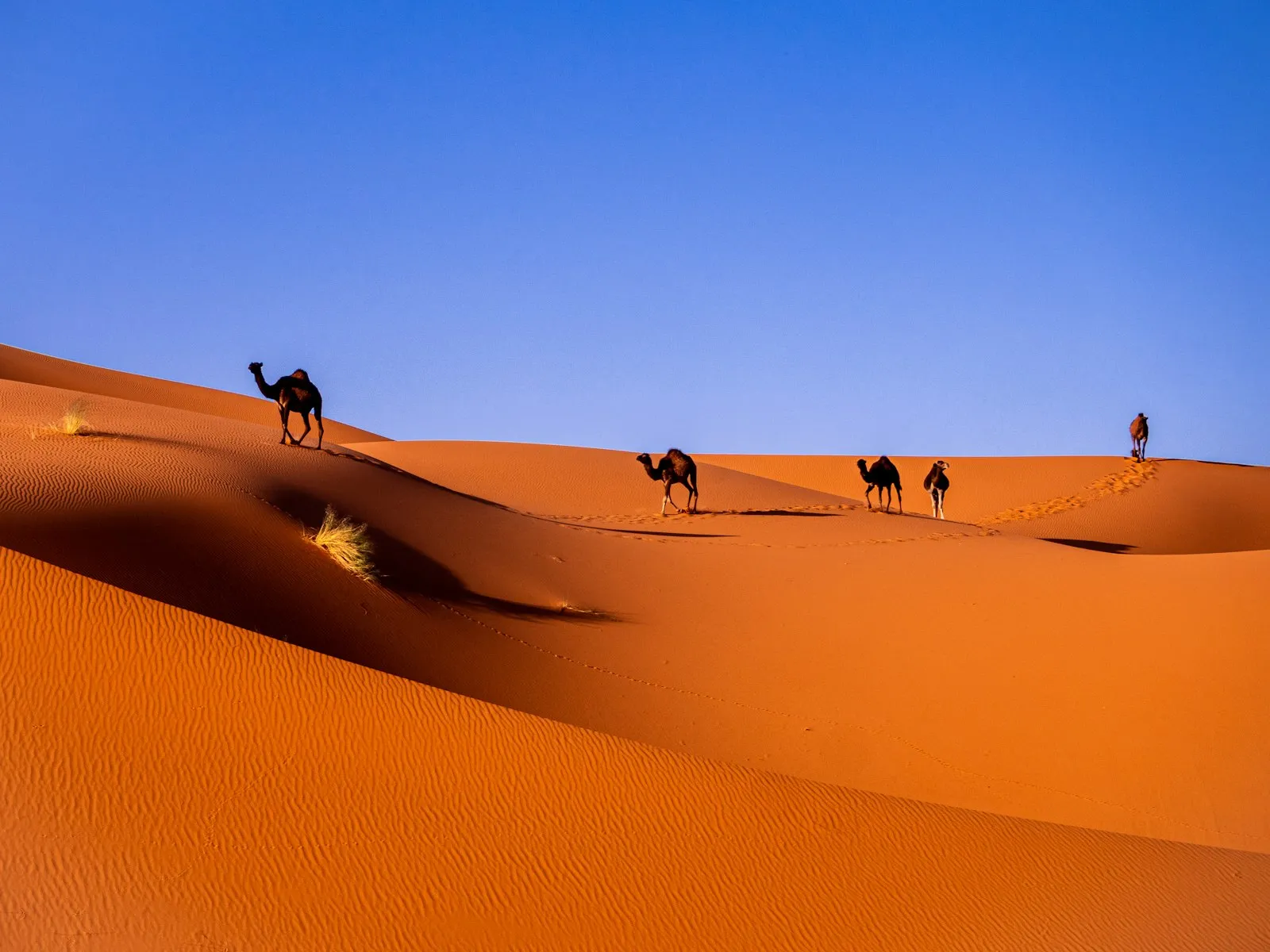 Tourism