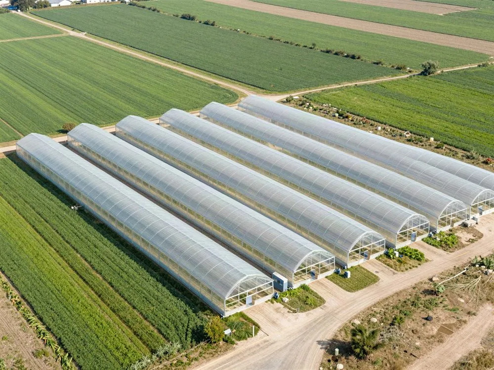 Agricultural Projects