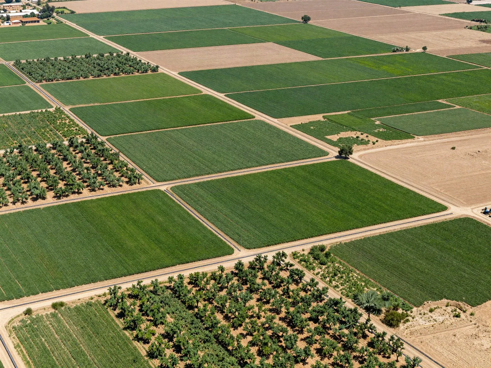 Agriculture & Agri-food